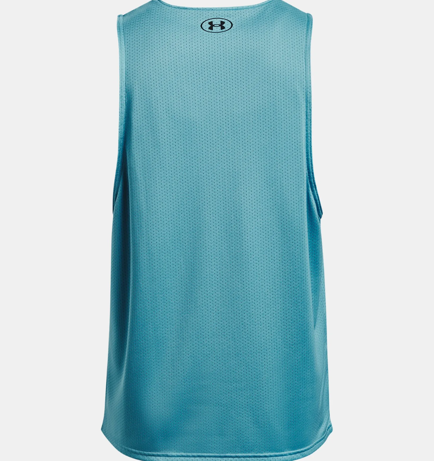 Online Under Armour Canotta Project Rock Reversible Mesh Da Uomo Glacier Blue / Black - 433